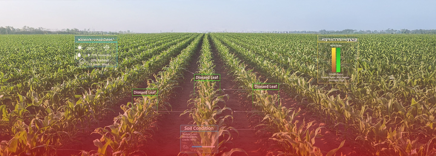 Data Annotation for Agriculture Industry