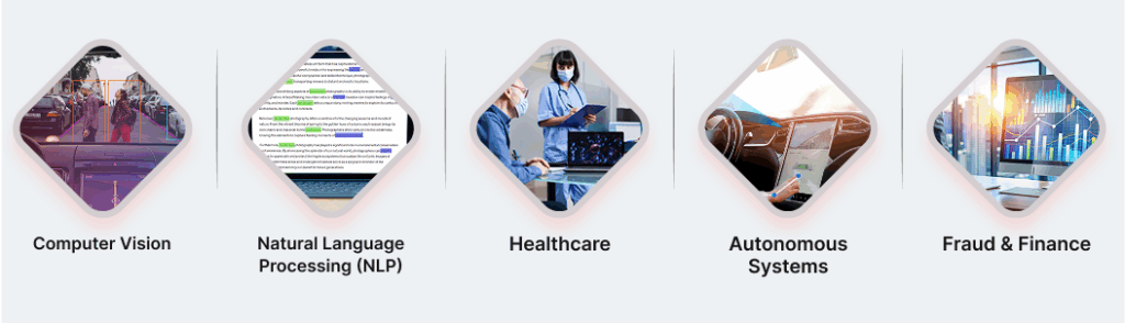 Common Use Cases of Human-in-the-Loop AI