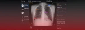 healthcare data labeling solutions
